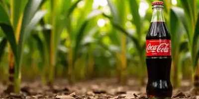 Новая версия Coca-Cola с тростниковым сахаром может повлиять на рынок поставок сахара в США