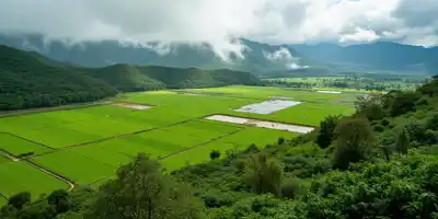 Риски Эль-Ниньо для экспорта сельхозпродукции Перу