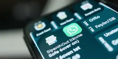 Сотрудник индийской страховой компании опубликовал черновик отчёта в WhatsApp