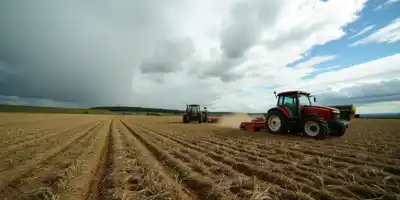 Трудности мелких фермеров США: политика и кредиты