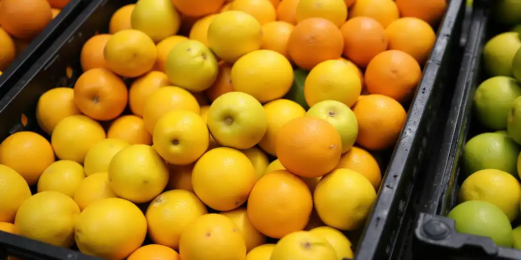 Экспорт лимонов из Абхазии в Россию удвоился за сезон