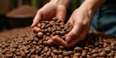 Какао восстанавливается на ожиданиях покупок из-за перебалансировки индекса