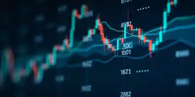 Компания MapLight нашла способ провести IPO несмотря на приостановку работы правительства США