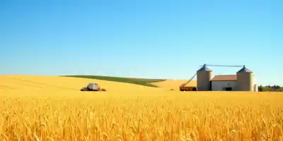 Квота на экспорт зерновых в 2026 году удвоена до 20 млн тонн