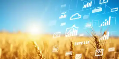 Рост цен на пшеницу до недельного максимума из-за низкой активности продаж у фермеров