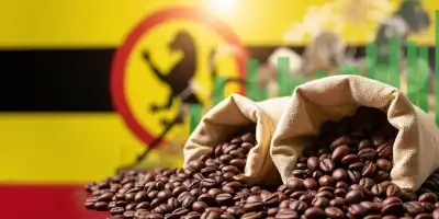 Рост цен на кофе увеличил доходы Уганды от экспорта