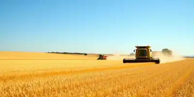 Экспортная квота на зерно из России в 2026 году вырастет до 20 млн тонн