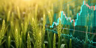 Мировые цены на продовольствие снизились в мае на 0,8%