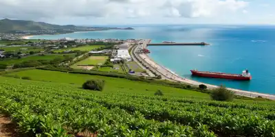 Рекорд экспорта сельхозпродукции из ЮАР при спаде поставок в США