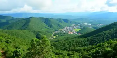 Индонезия может изъять 5 млн гектаров незаконных земель в этом году