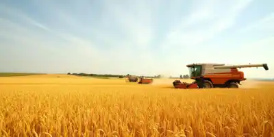 Поддержка аграриев: свыше 60 млрд руб. на субсидии для льготного кредитования