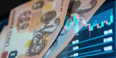 Турецкие государственные банки продали $5 млрд для поддержки лиры после решения суда