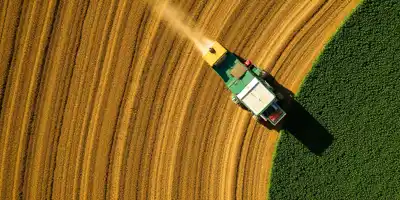 Цены на кофе достигли минимума с ноября из-за ускорения сбора урожая