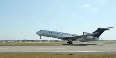 Ryanair повышает прогнозы по пассажирам и тарифам за счет ранних поставок Boeing