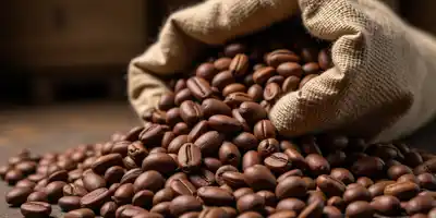 Гана повышает закупочные цены на какао вслед за Кот-д’Ивуаром