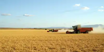 Крупные банки Аргентины расширяют кредитование фермеров на фоне снижения экспортных пошлин