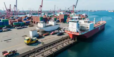 Китай снял запрет на импорт бразильской птицы после пяти месяцев