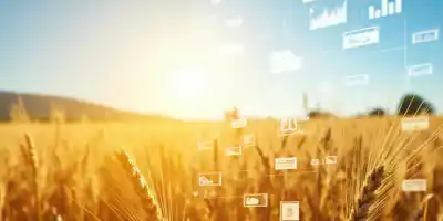 Прогноз сбора пшеницы в России в 2025 году повышен до 85,2 млн тонн