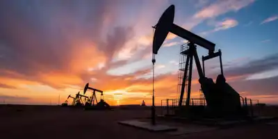 Онлайн-заседание комитета ОПЕК+ состоится 1 февраля 2026 года