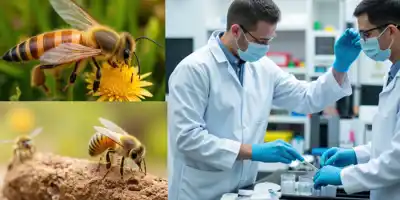 Биотех-стартап разработал вакцины для пчел и креветок