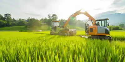 Филиппины рассматривают временное ограничение импорта риса для поддержки местных фермеров