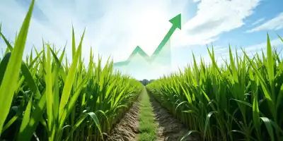 Сахар демонстрирует самый продолжительный рост за пять месяцев из-за проблем с урожаем в Бразилии