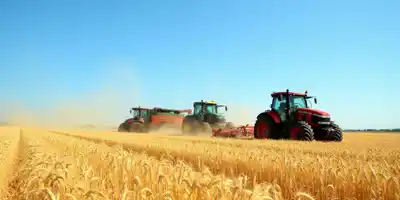 Рынок сельхозтехники в России: прогнозы и трансформация отрасли