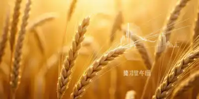 Цены на пшеницу достигли минимальных значений за пять лет