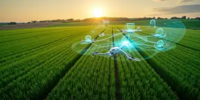 Цифровизация АПК: рост операционной прибыли до 20%