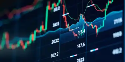 Звезды среднесрочных выборов благоприятствуют товарам первой необходимости