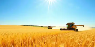 Правительство выделит 5 млрд рублей на льготные кредиты аграриям