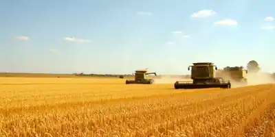 Милей снижает экспортные пошлины на сою, кукурузу и пшеницу Аргентины