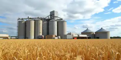 Количество стран-импортеров российской пшеницы сократилось с 50 до 30