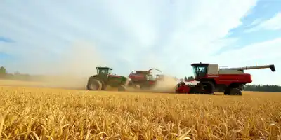 Росагролизинг: 80% поставок агротехники — российского производства