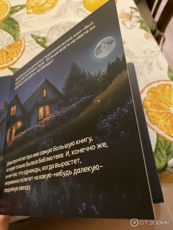 Фото книга Мальчик и Звездный Лисенок