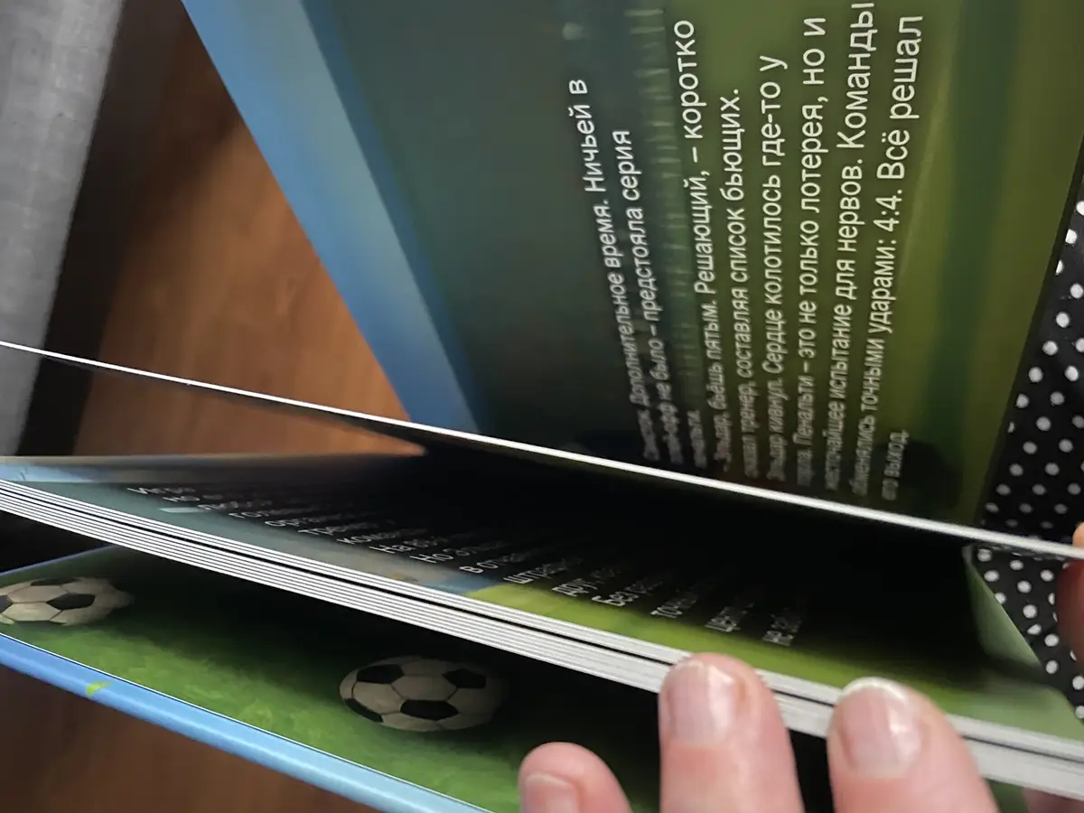 Фото книга Мальчик и победный гол