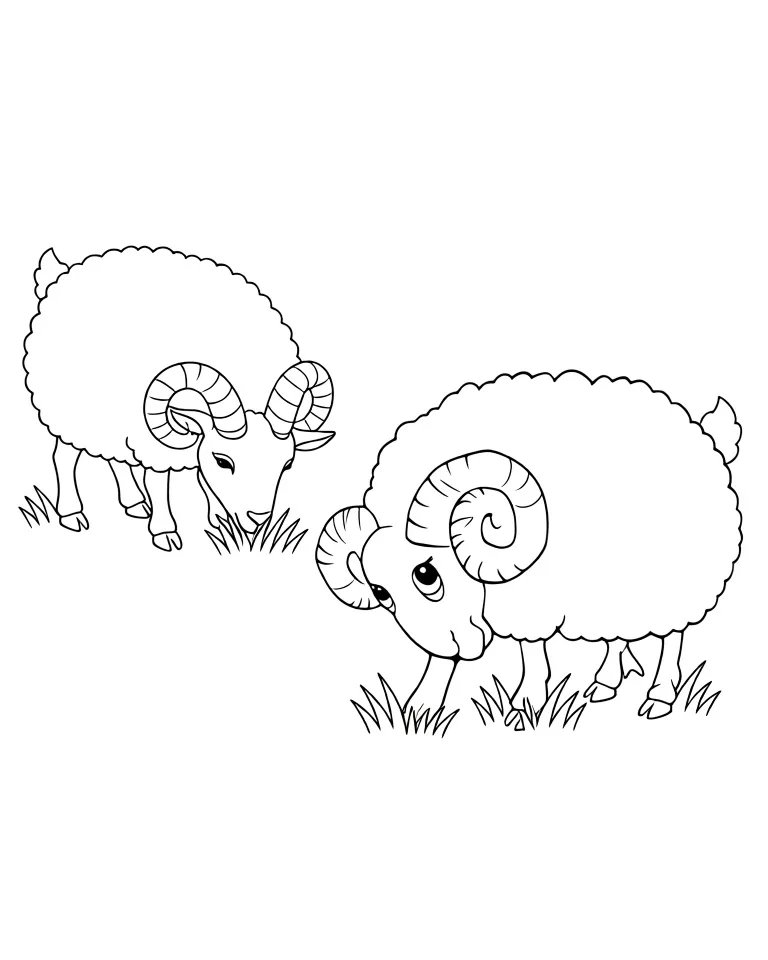 Бараны пасутся на лугу