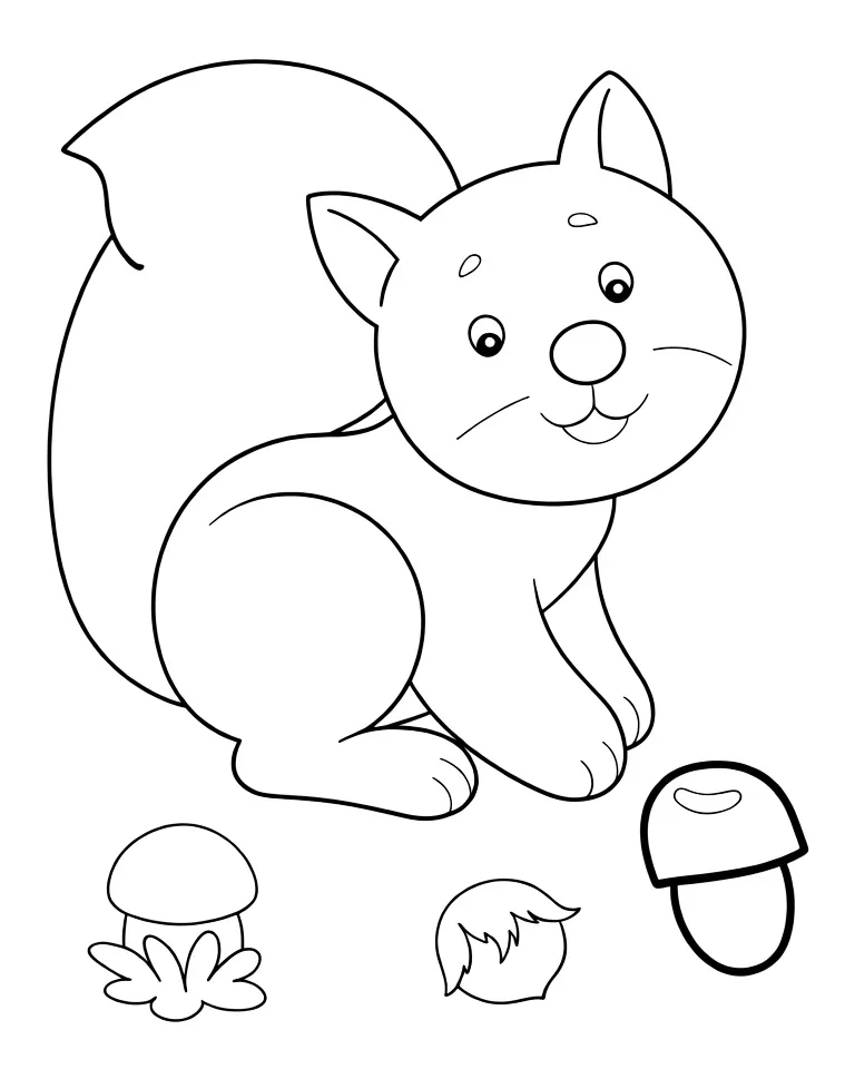 Белочка и грибы