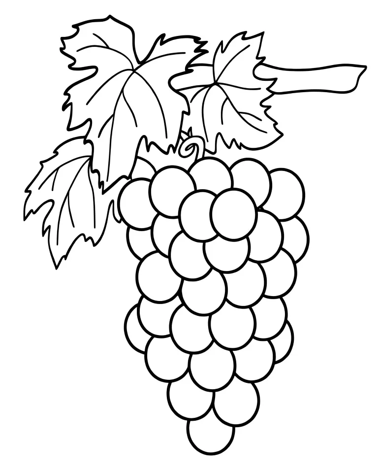 Большая виноградная гроздь