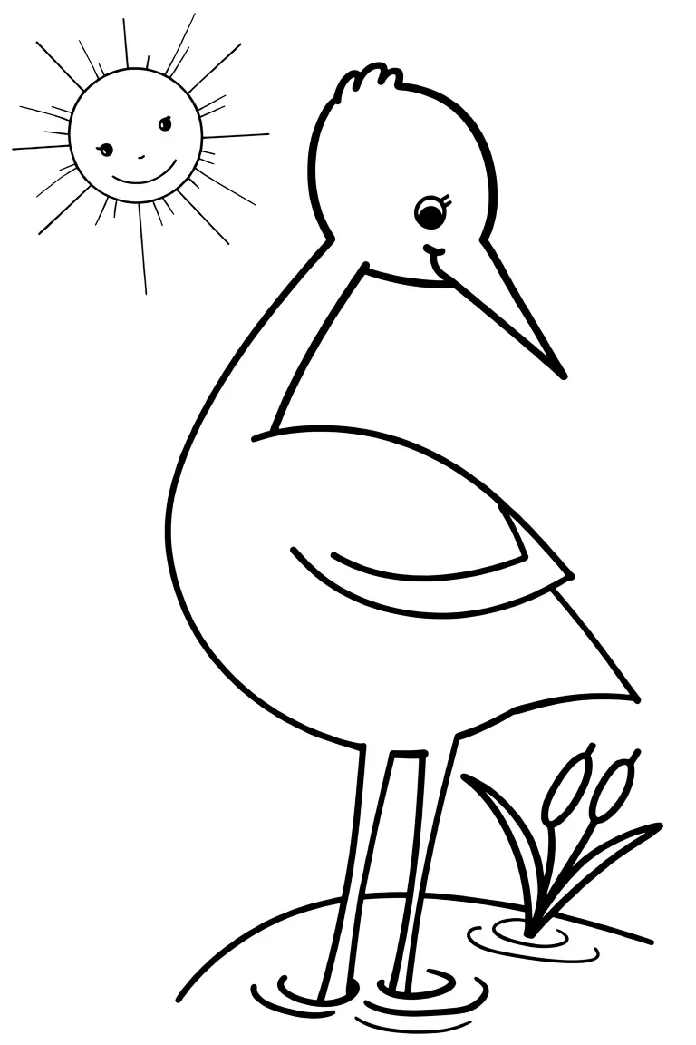 Цапля на солнышке