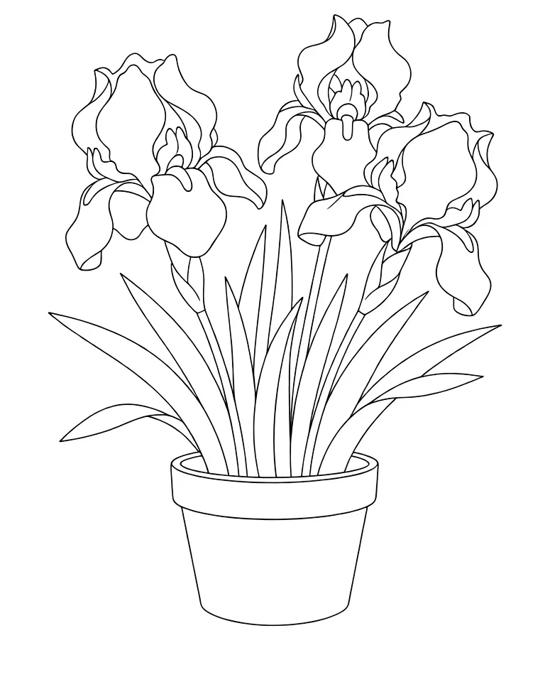 Цветочек ирис