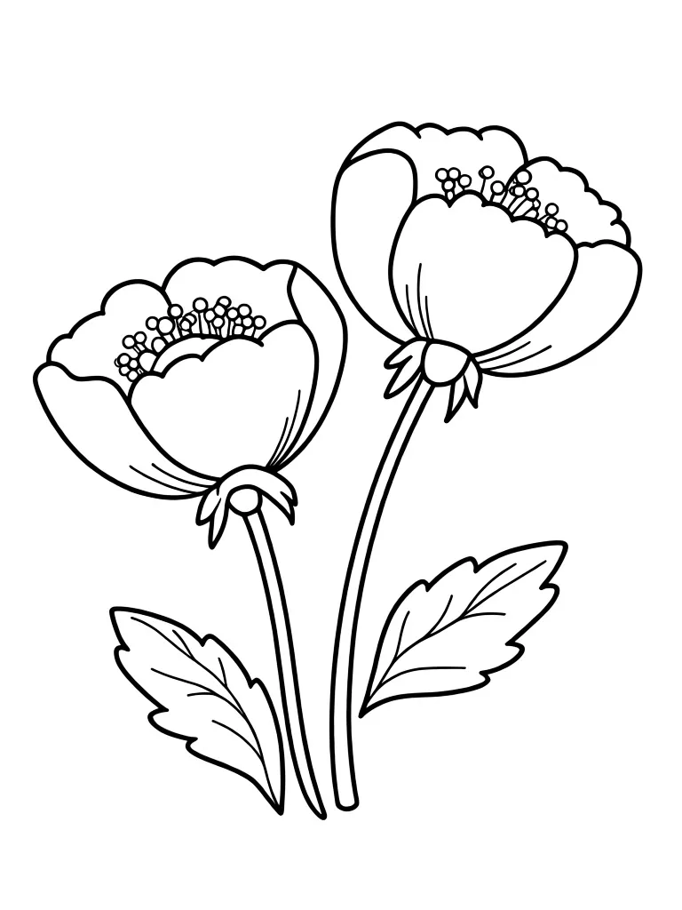 Цветочек мак