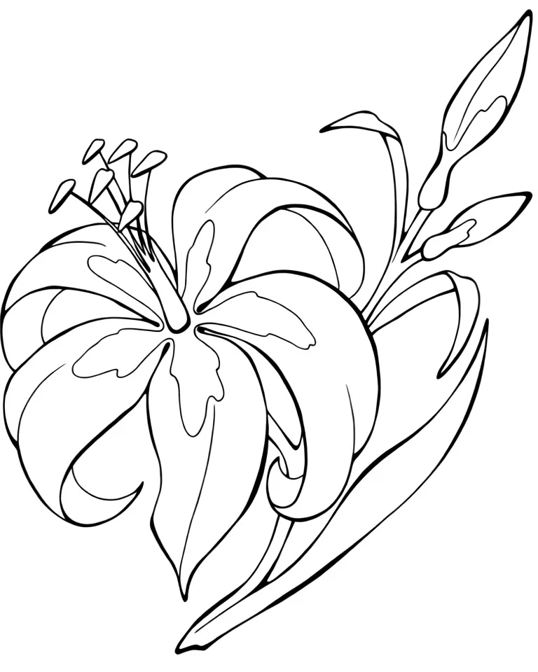 Цветок лилии