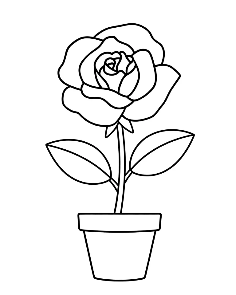 Цветок розы