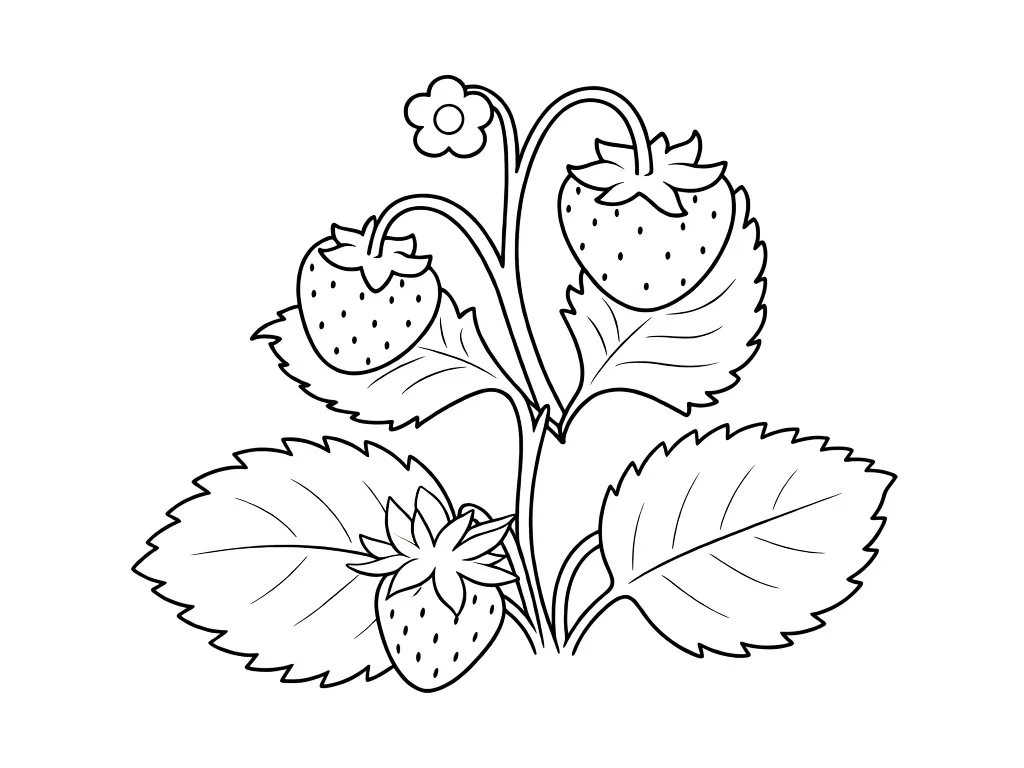 Цветущая земляника