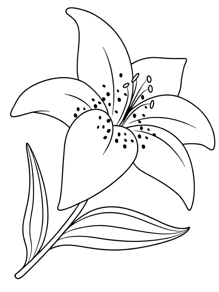 Цветущая лилия