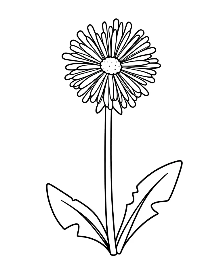 Цветущий одуванчик