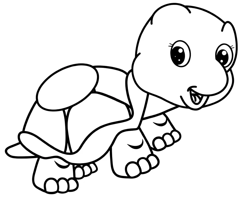 Детеныш черепахи