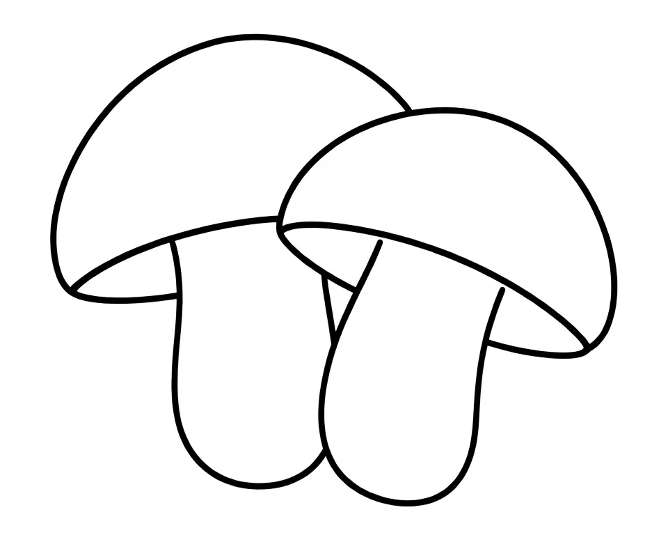 Два шампиньона