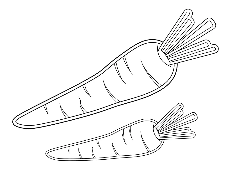 Две маленькие морковки